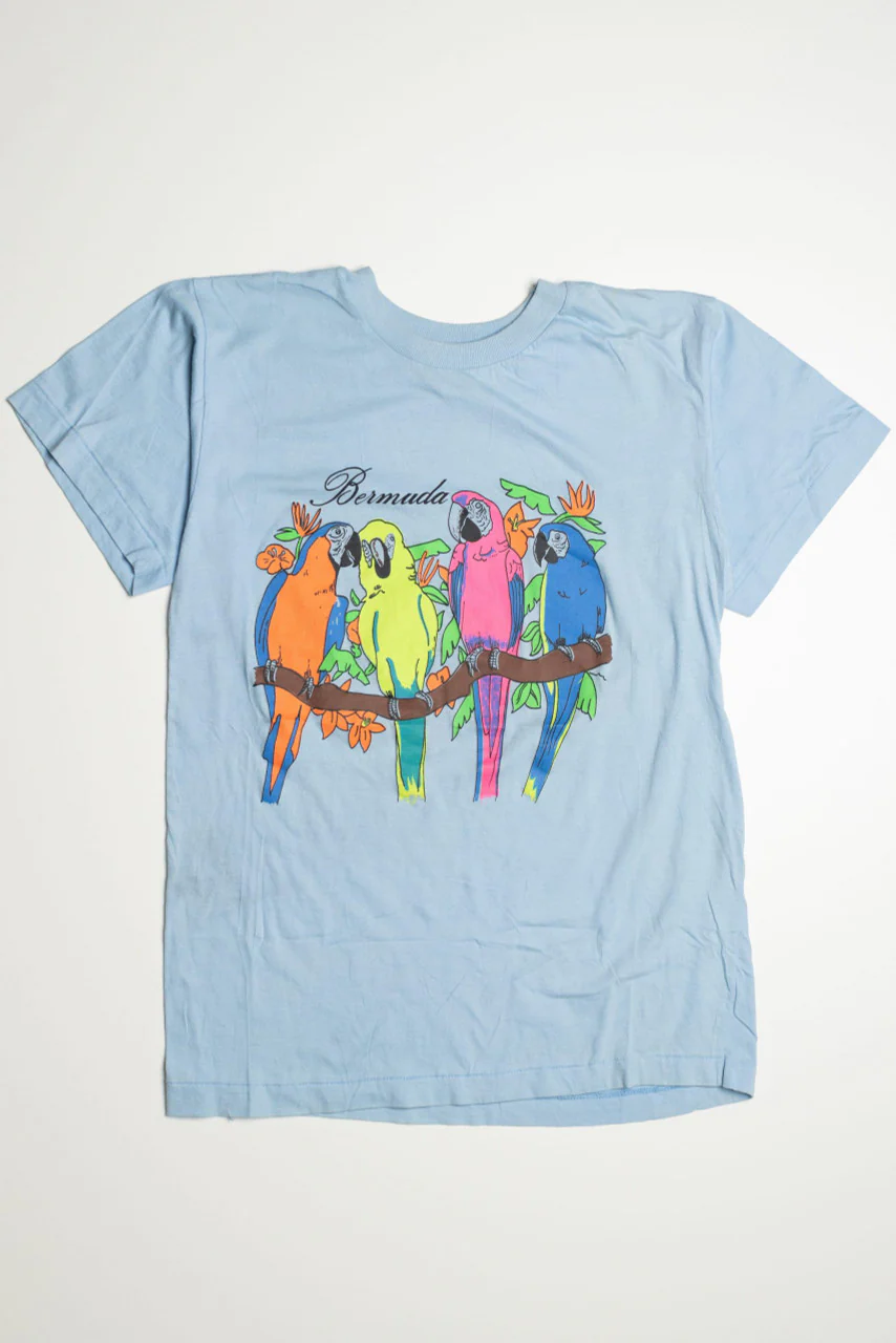 Bermuda Parrots T-Shirt - Image 2