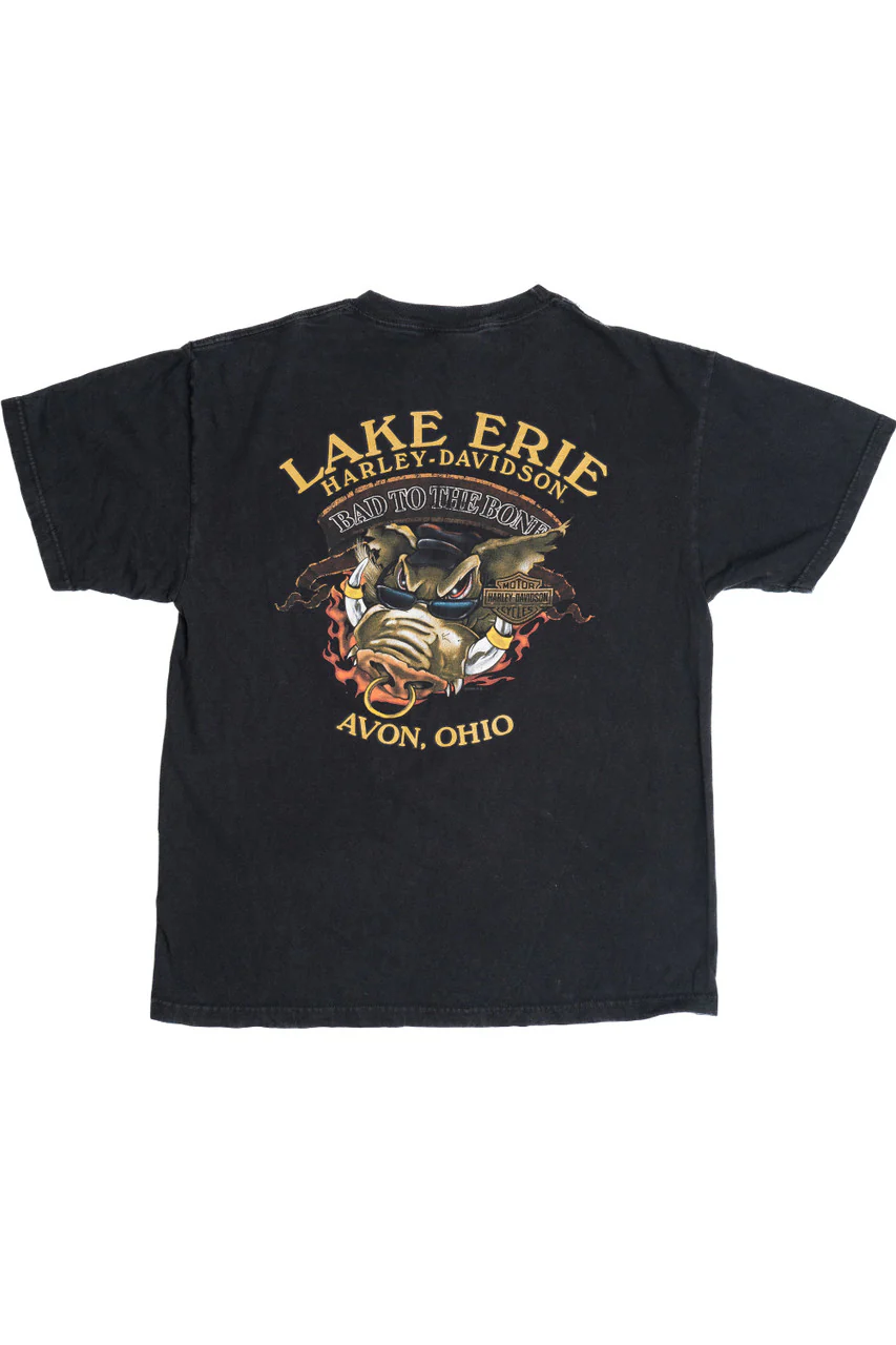Harley Davidson "Bad To The Bone" Pin-Up "Lake Erie" T-Shirt - Image 2