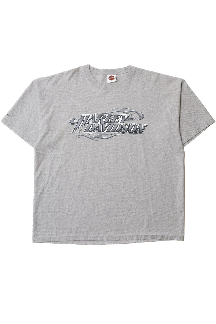 Harley Davidson Chrome Logo Micro Striped Heavyweight T-Shirt - Image 6