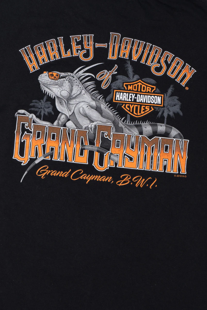 Harley Davidson Grand Cayman Skull & Iguana T-Shirt - Image 3