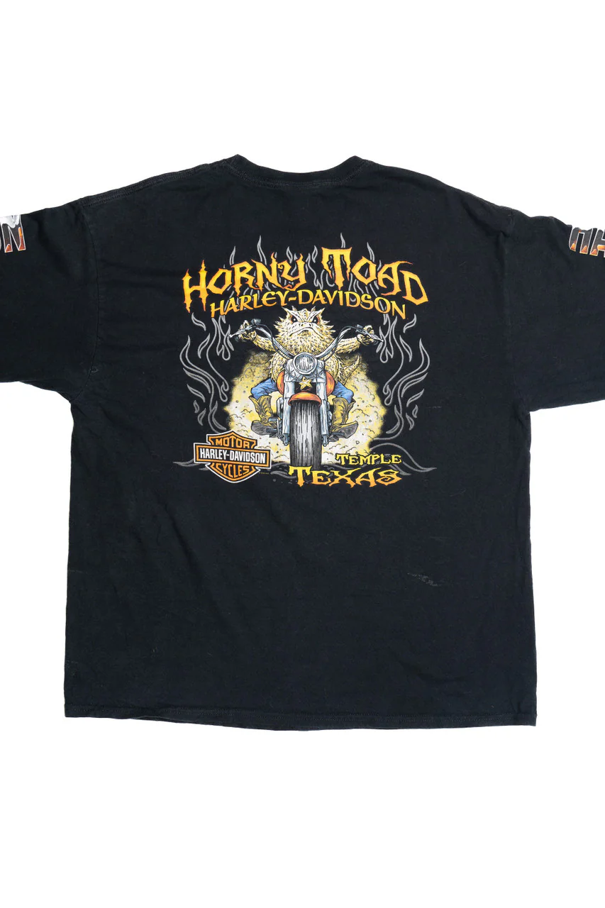 Harley Davidson Horny Toad "Temple Texas" Long Sleeve T-Shirt (2010s) - Image 2