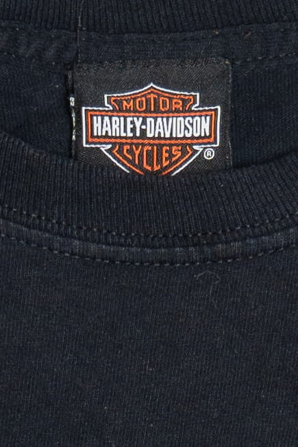Harley Davidson Horny Toad "Temple Texas" Long Sleeve T-Shirt (2010s) - Image 5