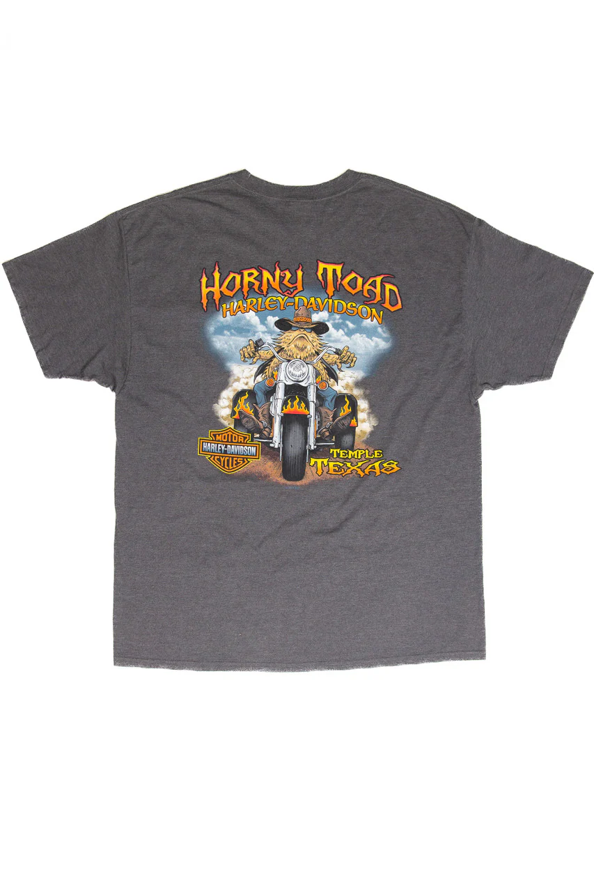 Harley Davidson Temple TX Horny Toad T-Shirt