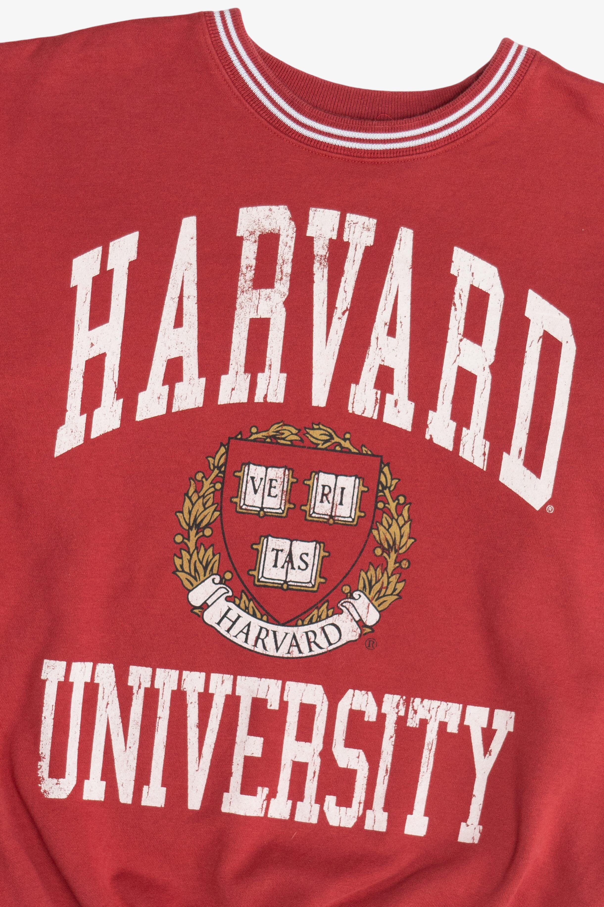 Harvard University Striped Hem Sweatshirt (2020s) - Image 2