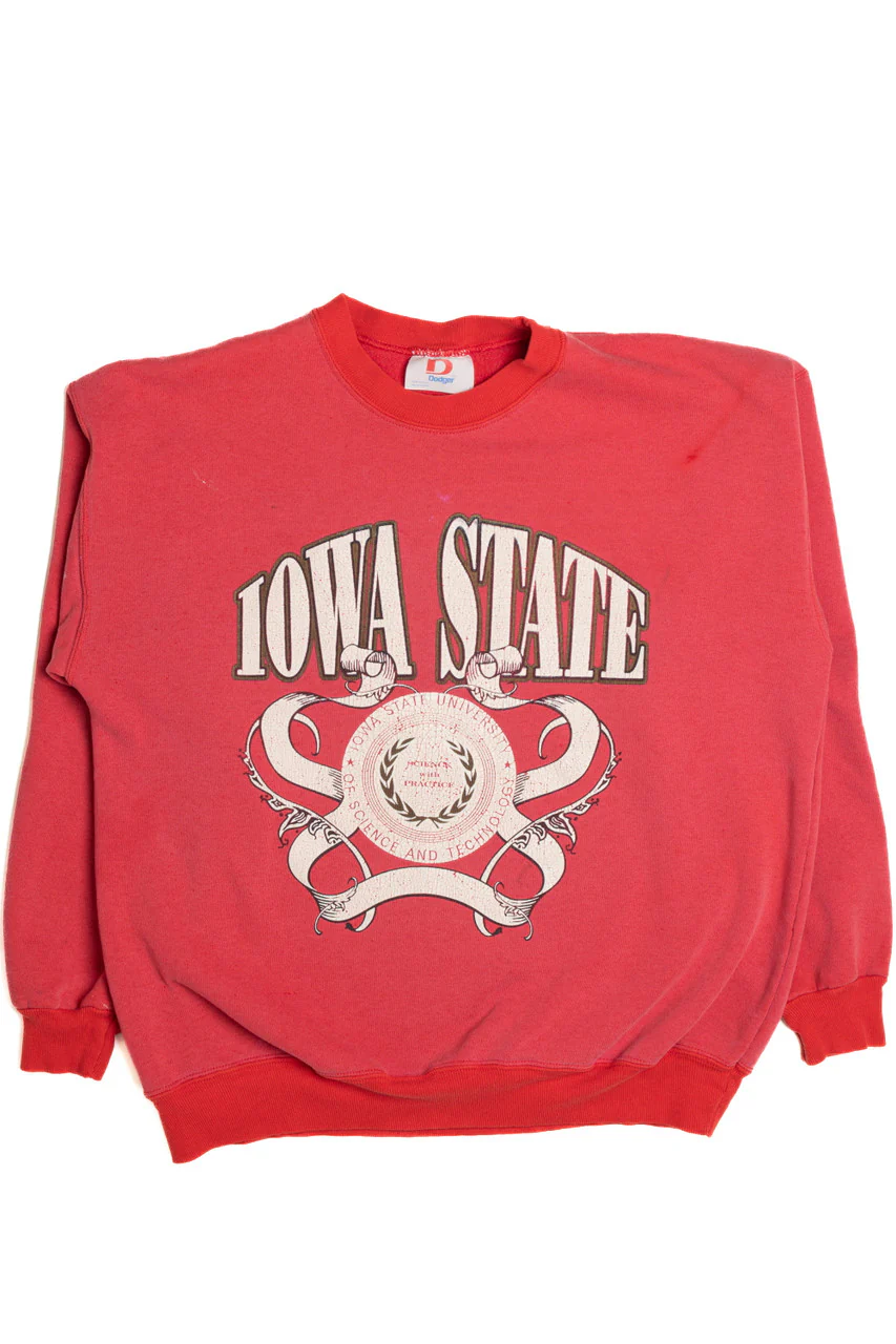 Iowa State University Sweatshirt 8561 - Image 3