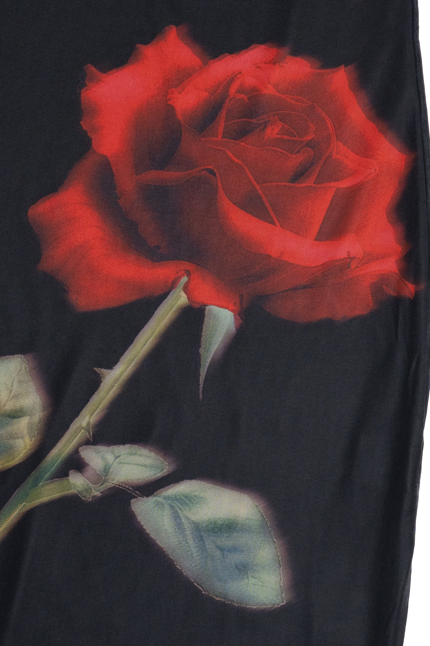Rose Graphic Mesh Midi Tube Dress - Image 5
