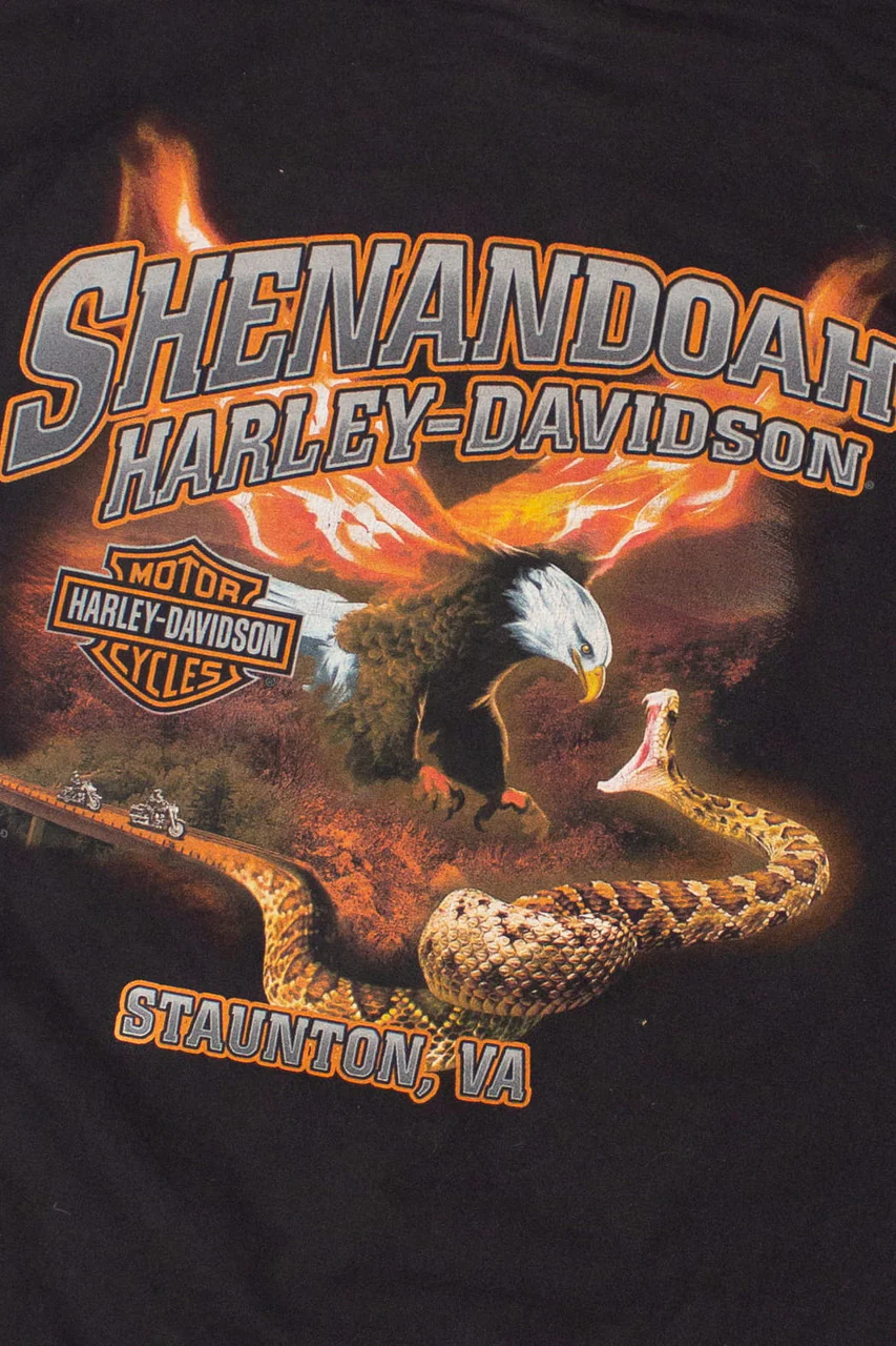 Staunton Virginia Harley Davidson T-Shirt (2018) - Image 4
