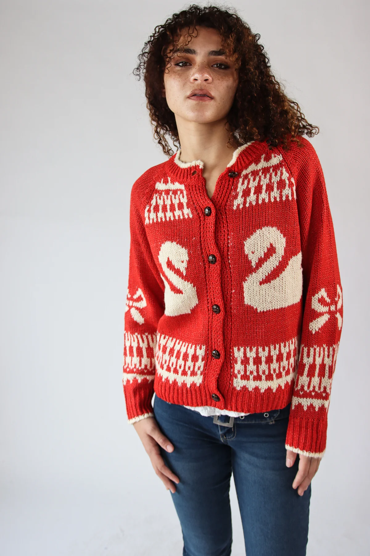 Swan Fair Isle Cardigan - Image 4
