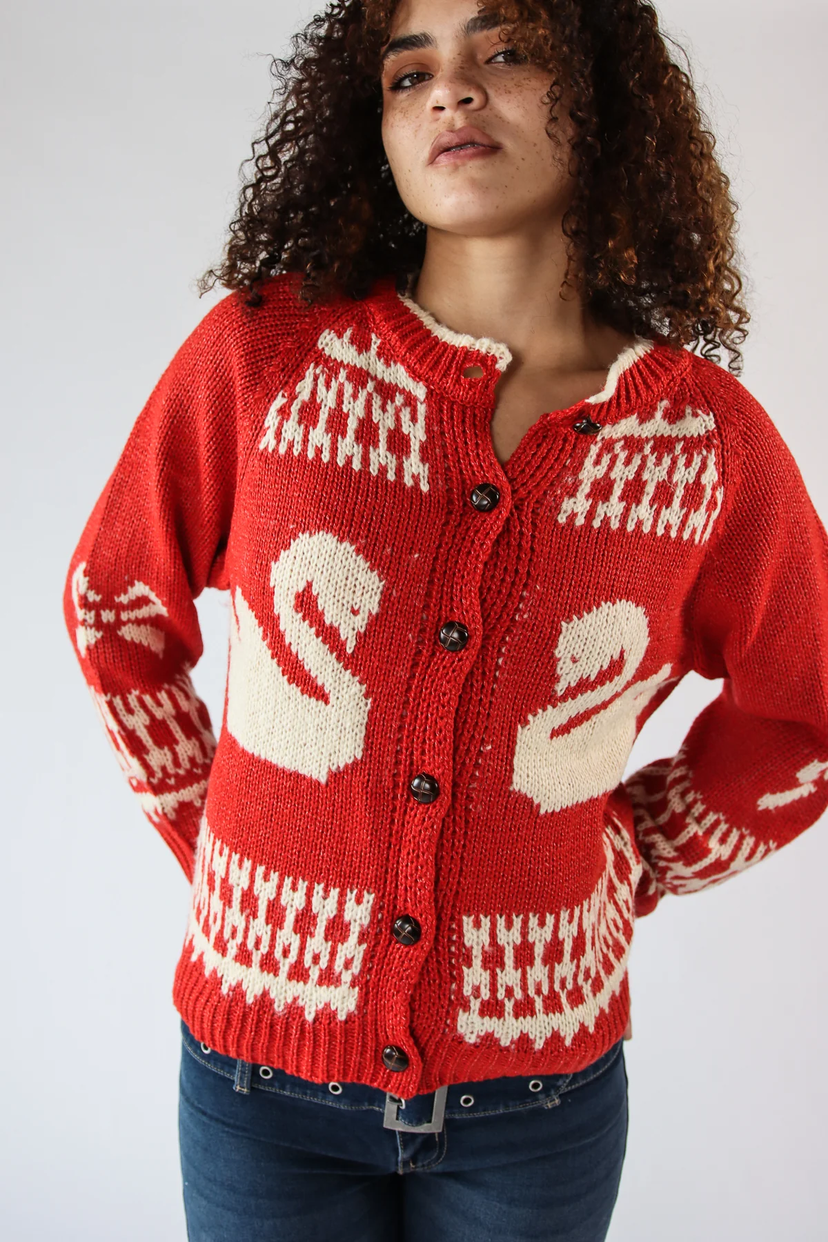 Swan Fair Isle Cardigan - Image 5