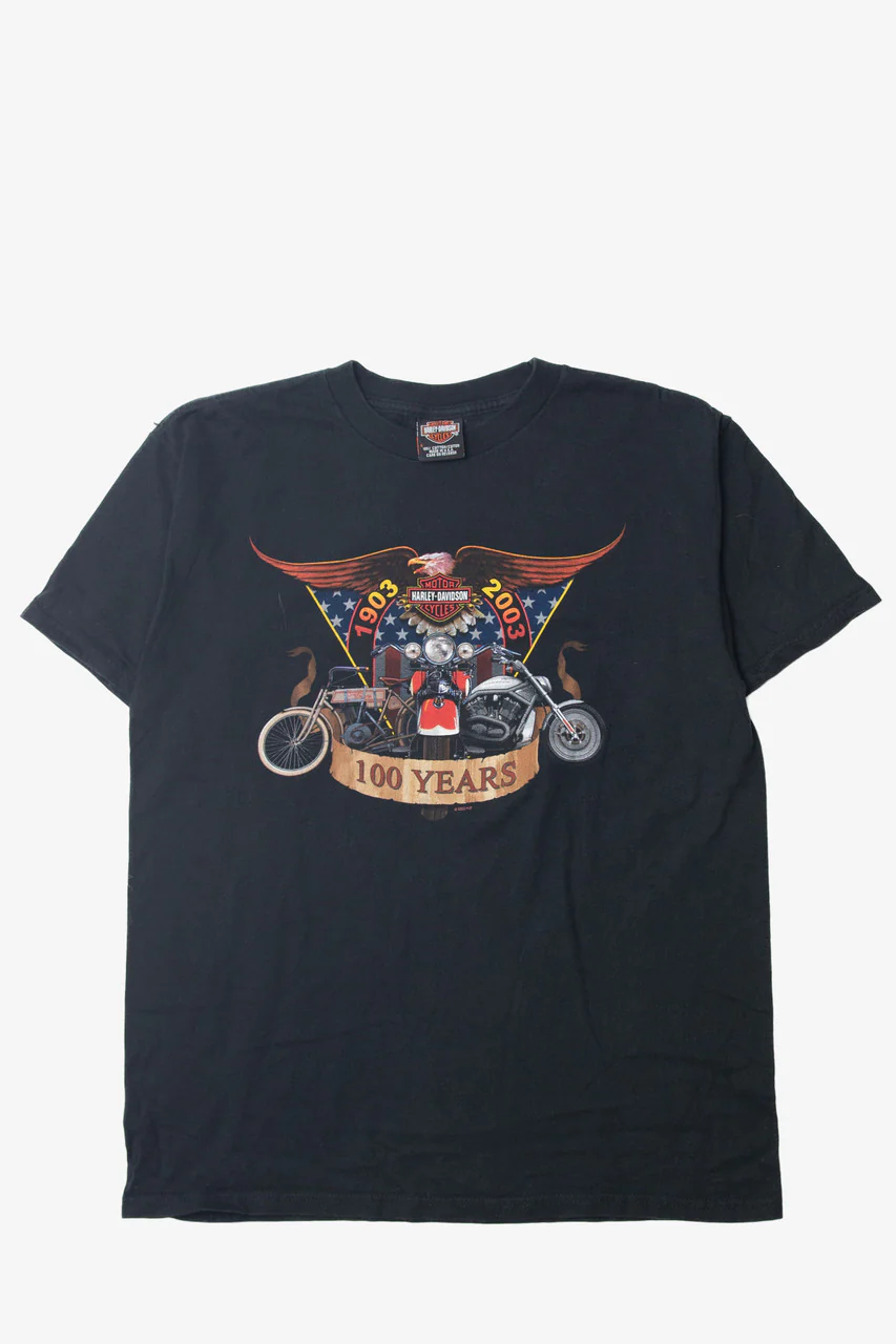 Vintage Harley Davidson "100 Years" T-Shirt (2000s)