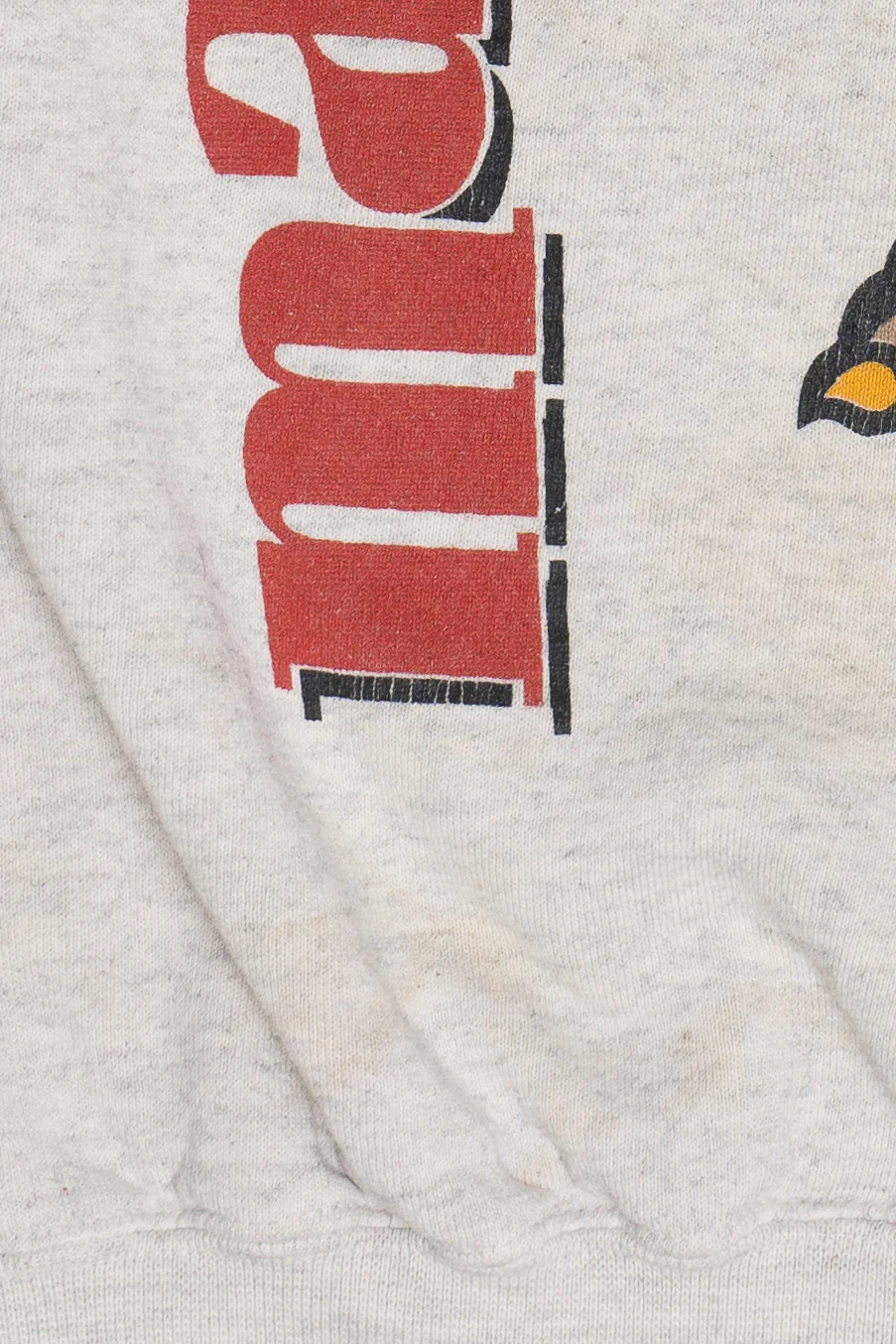 Vintage Maryland Terps University Of Maryland Mascot Sweatshirt (1990s) - Image 4